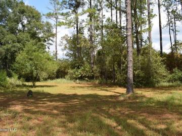 Home For Sale In Lucedale, Mississippi