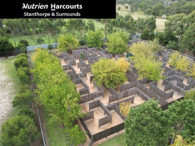 Home + Profitable Business in one. Acreage Glen Niven Qld