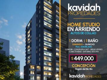 Home studio amoblado en av collao concepción