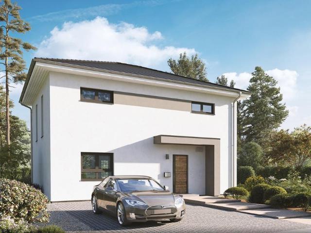 Home 12: Wo Sonnenanbeter aufblühen!