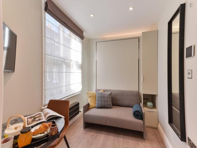 Homely studio near the Marylebone train station Has an Apartment