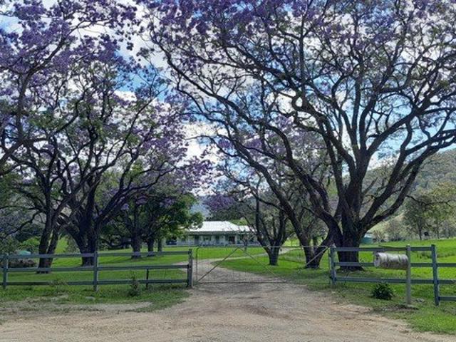 Homestead