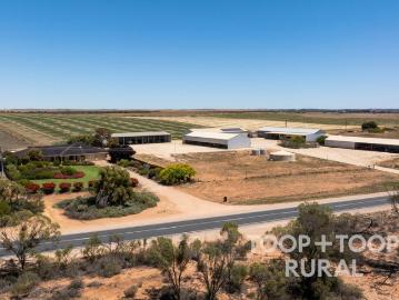 Nildottie, Karoonda East Murray, South Australia