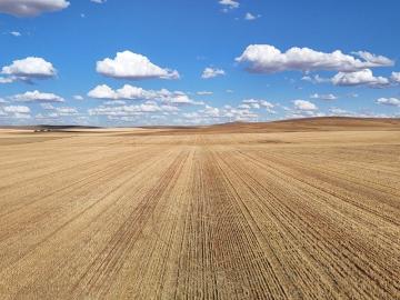 Hallett, Goyder, South Australia, South Australia