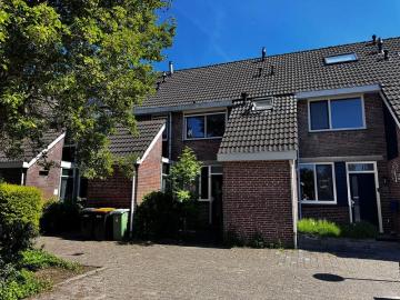 Hondsdraf 58