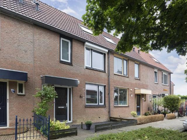 Hondsrug, Dronten