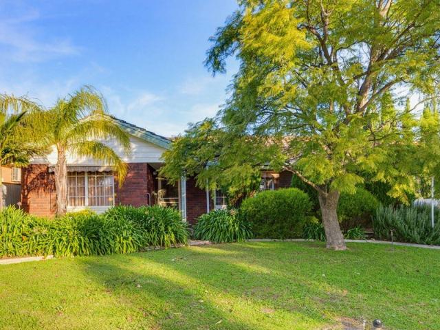 Honest solid home needs new family!