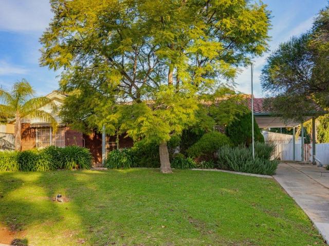 Honest solid home needs new family!