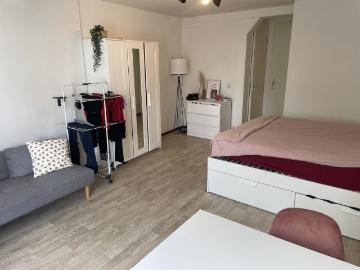 Olland, Meierijstad, Noord-Brabant - Tuin