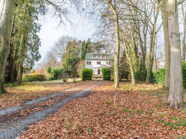 HOOGVORST Characterful villa with 6 rooms and large garden