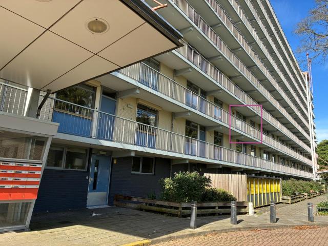 Hoogveld 61