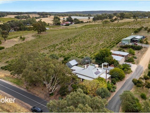 Hobbs of Barossa A Rare Legacy Offering