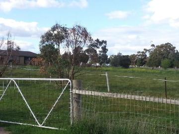 Hobby Farm on 15 acres with 4 bedroom house close to Calder Hwy in Diggers Rest