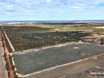 HOBBY FARM OPPORTUNITY CLOSE TO NAREMBEEN TOWN