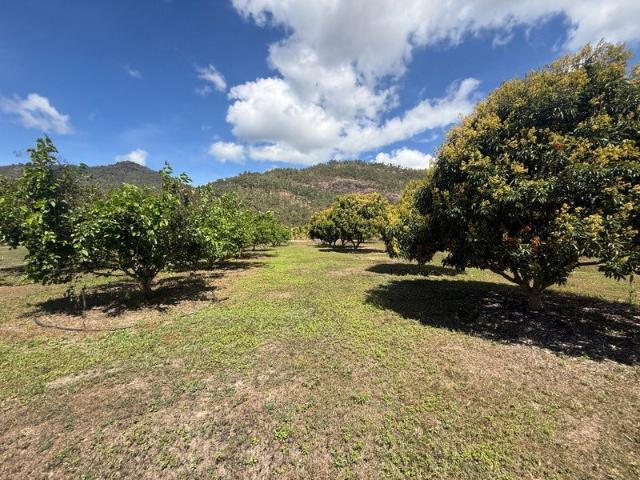 Hobby farm with Home, Sheds, Bores, Orchard and Equipment on a 12.68 ha property, would also suit horses and cattle