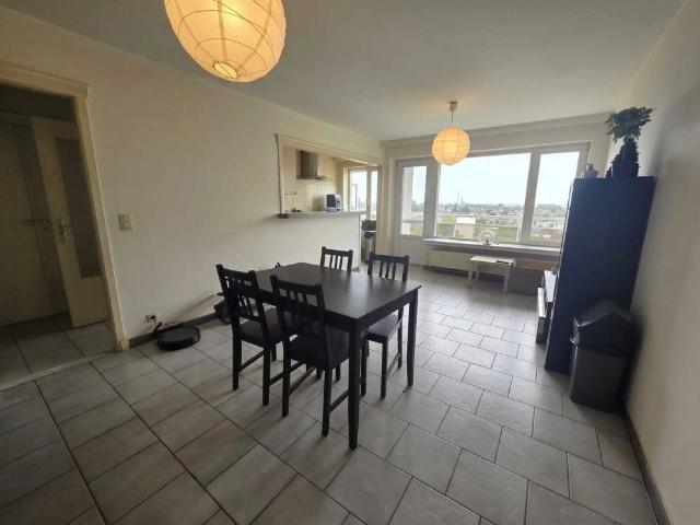 Hoboken: appartement 1 slp met terras