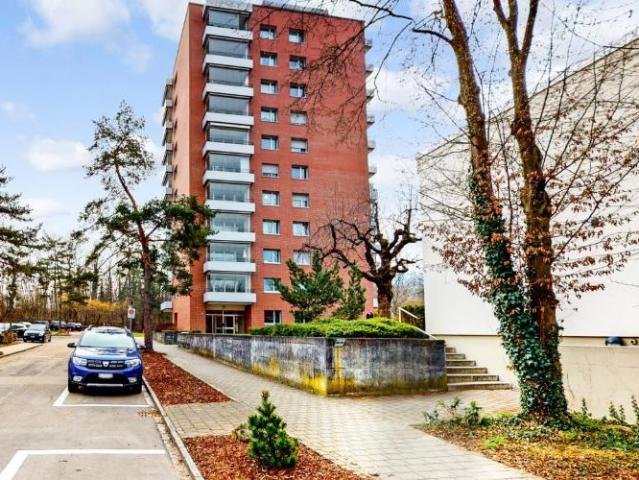 Hoch hinaus Herrlicher Ausblick