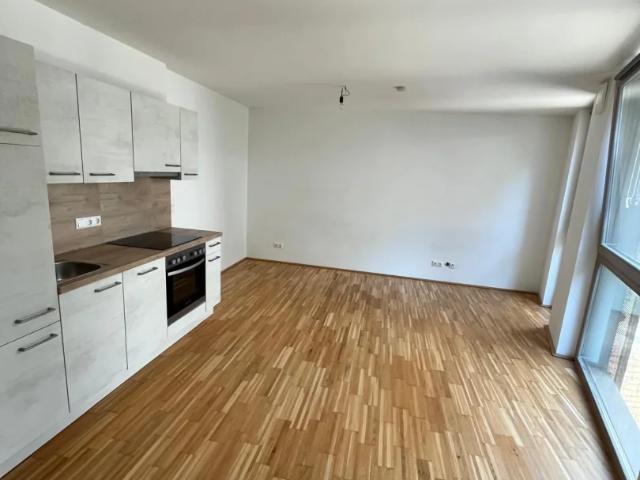 Höchst originelles & sehr schönes 1 Zimmernest in der Griesgasse zur Miete