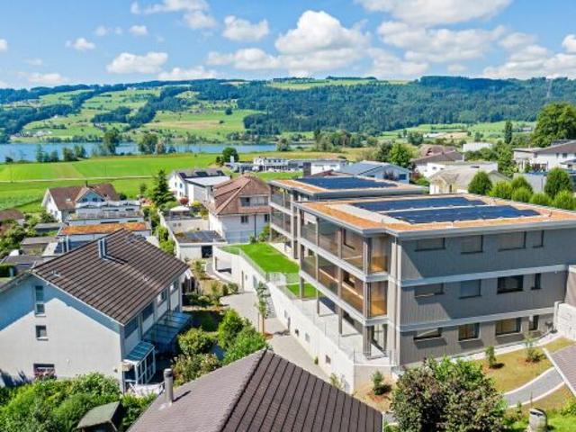 Höchste Wohnqualität mit See und Bergsicht in 6285 Hitzkirch