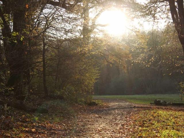 Hochparterre in Jugendstilhaus direkt am Jenischpark mit eigenem Garten von Privat