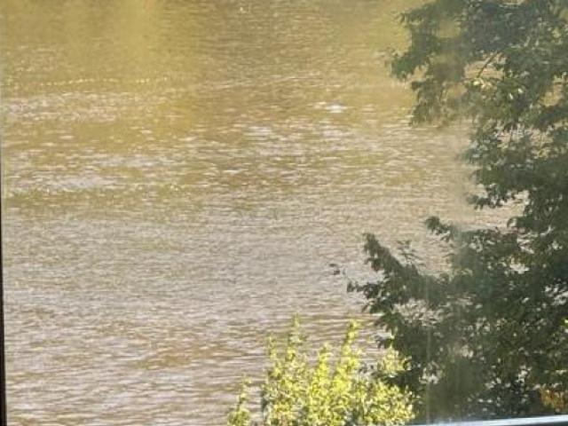 Hochwassersichere Traumwohnung in Kröv an der Mosel