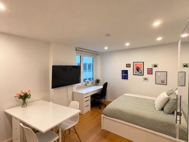 Hochwertig möbliertes 1 Zimmer Apartment im Herzen der Altstadt Hofbräuhaus
