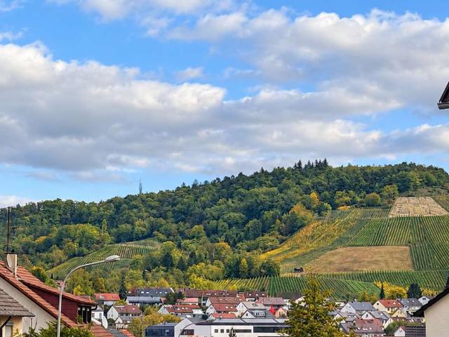 Hochwertige 3 Zimmer Wohnung mit Weinbergblick in Korb