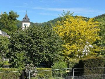 Hochwertige,barrierefreie 4 Zimmerwohnung,KfW55 in Bad Honnef Rommersdorf