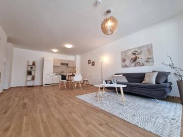 Apartment for rent in 2000 - Heizung, Terrasse