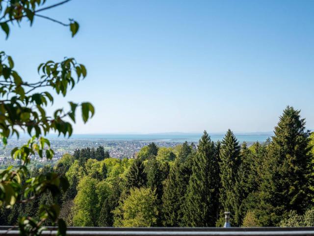 Hochwertiges Architektenhaus mit Bodenseeblick in Bildstein