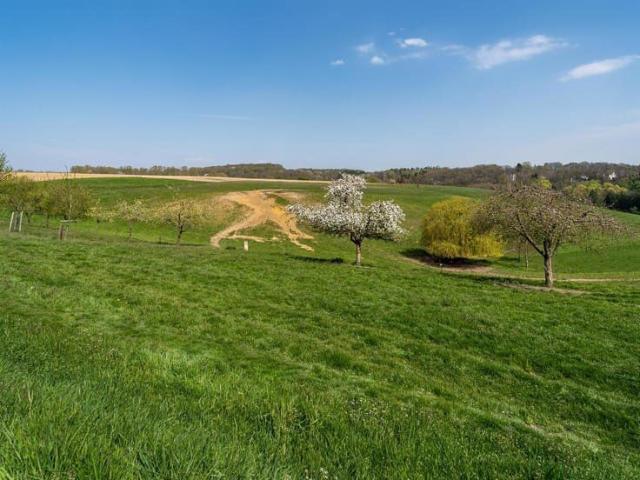 Hoeilaart I Forêt de Soigne