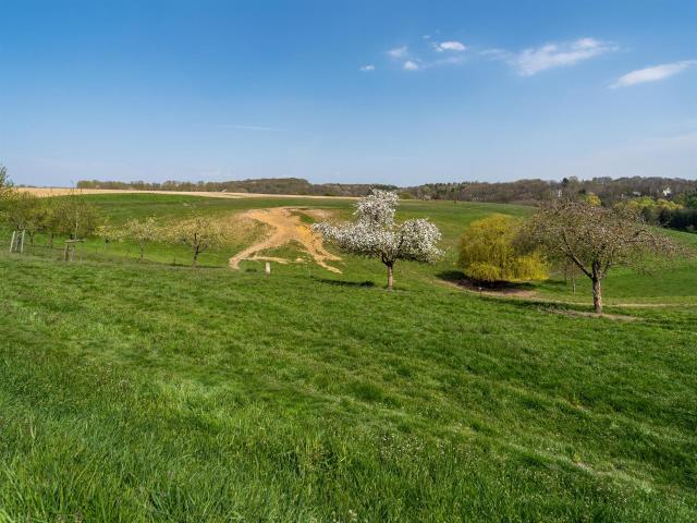 Hoeilaart I Forêt de Soigne | Belgium Sothebys Int. Realty