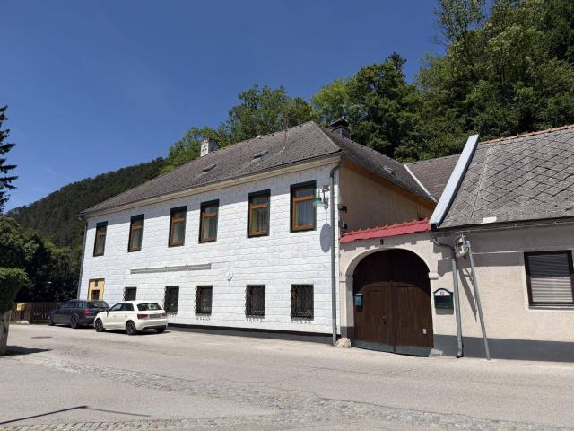Hof mit großzügigem Wohnhaus und vielseitigen Nutzungsmöglichkeiten!