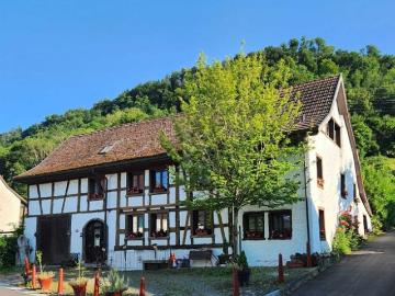 Rekingen, Bezirk Zurzach, Aargau