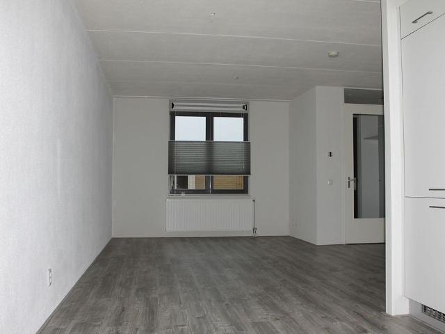 Hoge Weidesingel 11