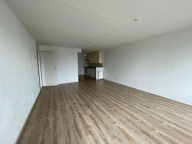 Hogewerf 141