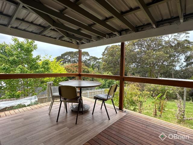 Holiday lifestyle without the price tag!