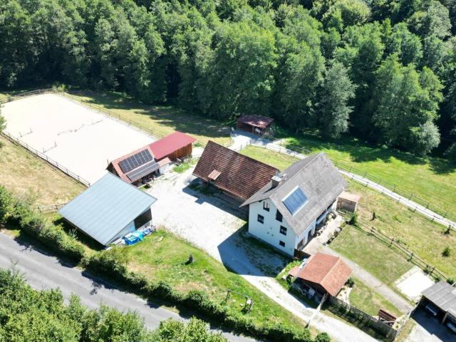 Hollenegg | Pferdehof mit Wohnhaus in Top Lage