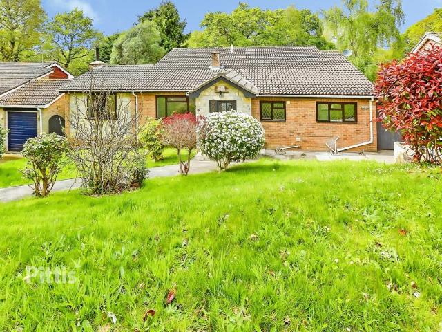 Hollowood Road Alverstone Garden. 4 bed detached house to rent £1,800 pcm £415 pw