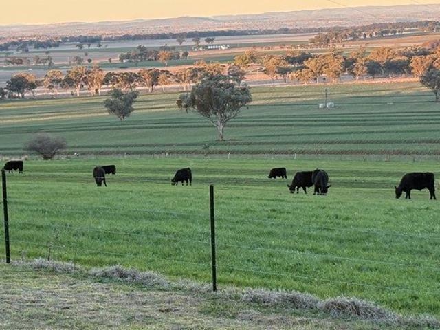 'Holmesview' What a View!