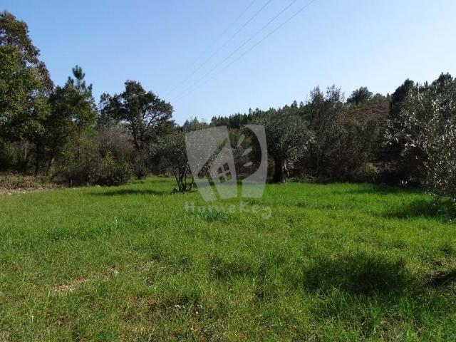 Horta Cimeira Lote off grid de 5000 m2 com 2 poços, atravessado por curso de água