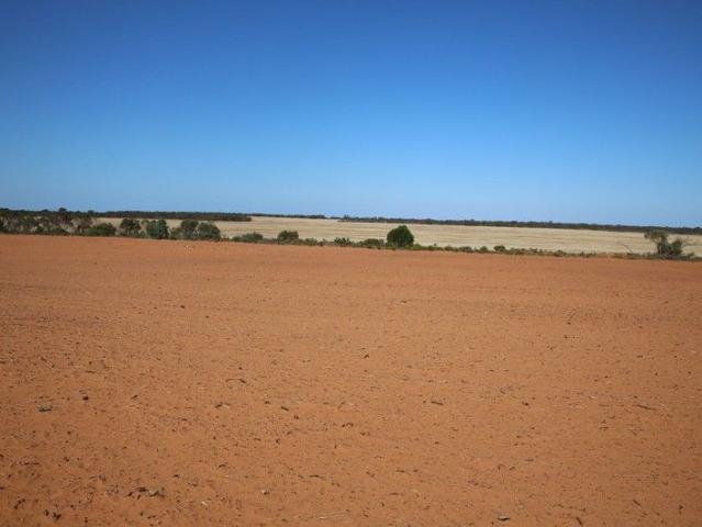 Horticulture Land Development Opportunity