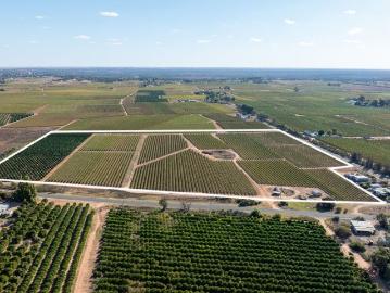 Loxton North, Berri Barmera, South Australia