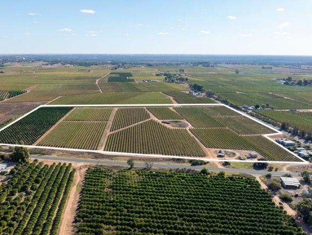 Horticulturual Land Holding