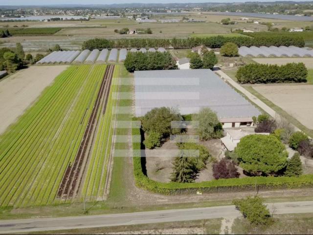 Horticole / Maraîchage 120m² Marmande