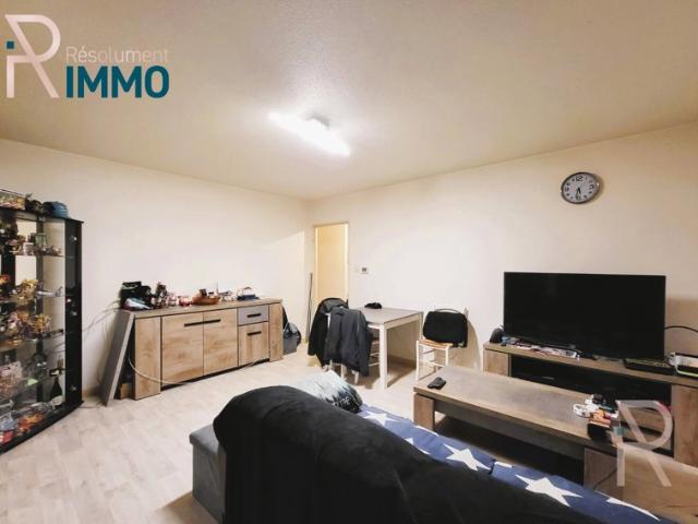 Horbourg Wihr appartement 2 pièces 54m²