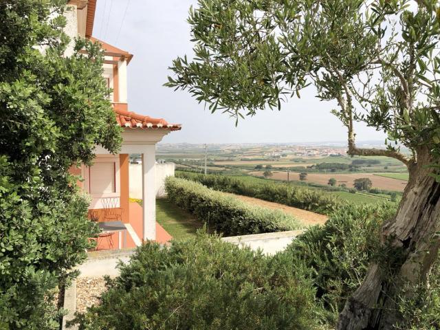 Horizonte esmeralda