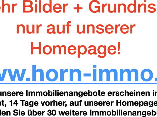 HORN IMMOBILIEN + Einfamilienhaus, voll unterkellert mit Garage, Ferdinandshof
