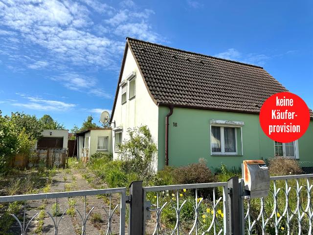 HORN IMMOBILIEN + Friedland Meckl. Haus mit viel Platz und großem Grundstück, sanierungsbedürftig