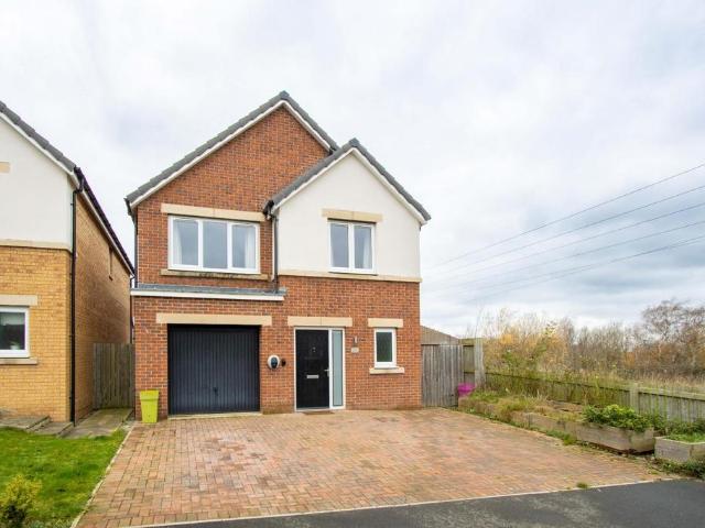 Hornbeam Close, Gilesgate, Durham 4 bed detached house to rent £1,700 pcm £392 pw
